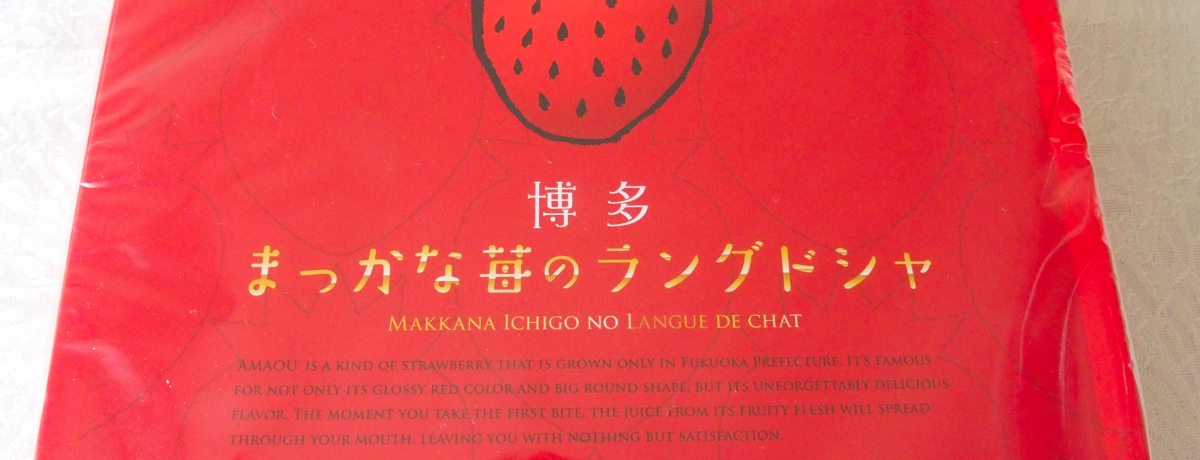 C`SEIOȂu܂v̂yYIT_Ber1ʂɉwi