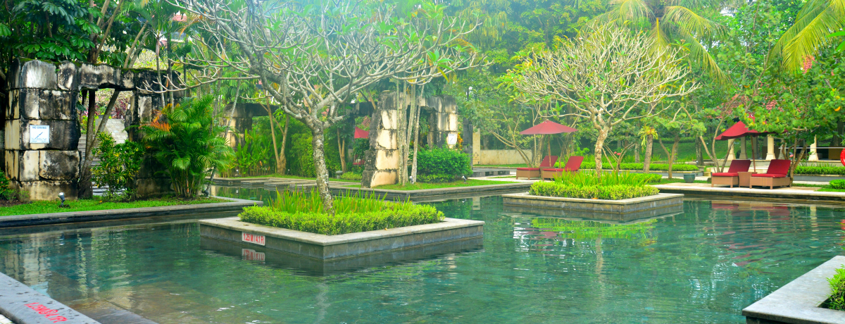 ÓsWOWJ^uVFg XeBJvŊyރv[][ǵAт̒̌Ñ