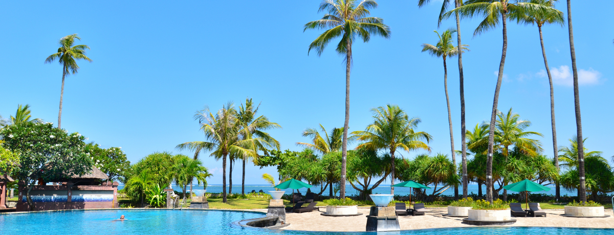 ƊCƃv[̐nzeIoupg WT ov