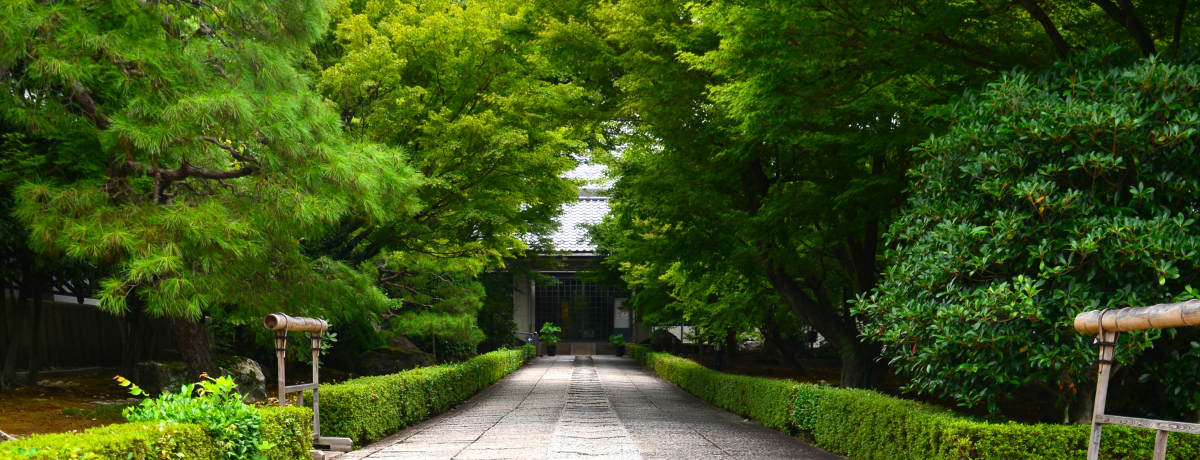 suvŎtAt̕cɓt̐Eւ悤I