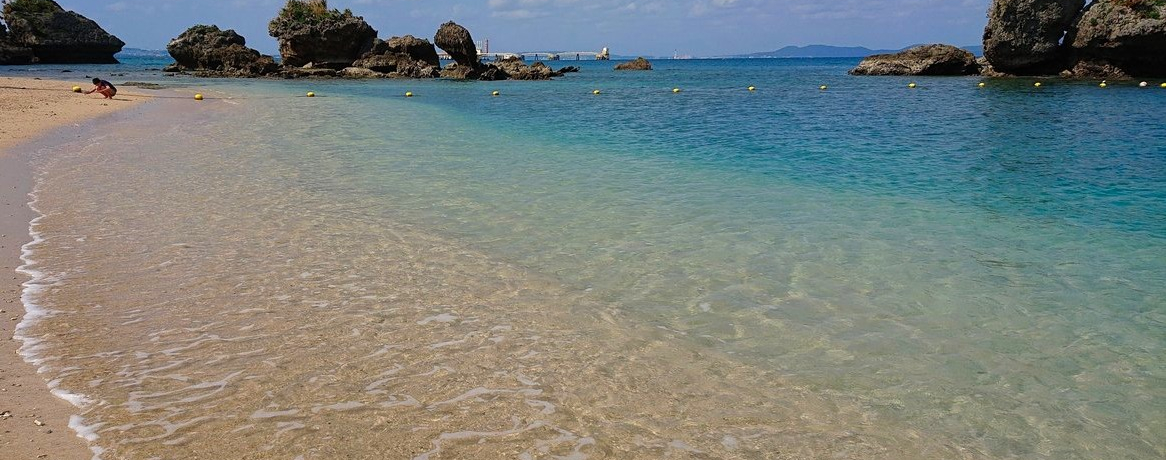 Q̓xI{uɌvvVRr[`ňNCV