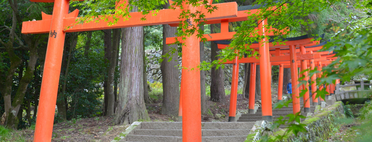 �A�n�̏����s��������� �鉺���u�o�΁v�Ŗ����O�����ƒ��U��