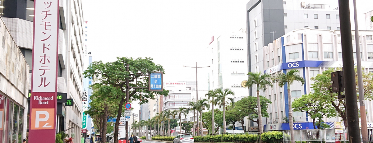 ���ےʂ肻�΁u���b�`�����h�z�e���ߔe�v�Βn�v�Ő����R����