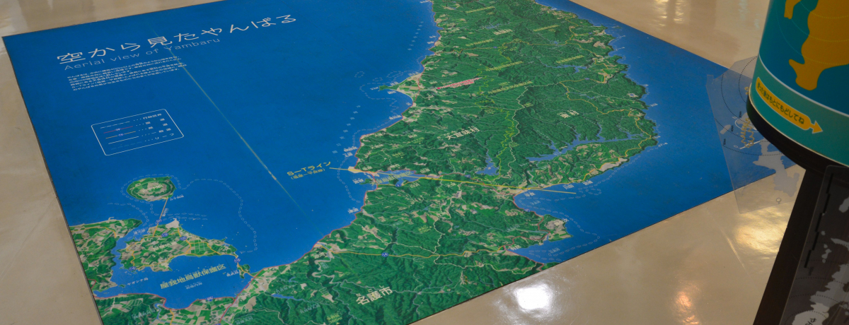 EYIuEtM[RفvŋMdȂ΂̔閧T