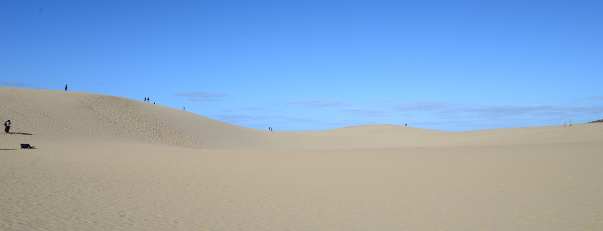 u̖͂܂킩Iu捻urW^[Z^[v͌ẅԂ