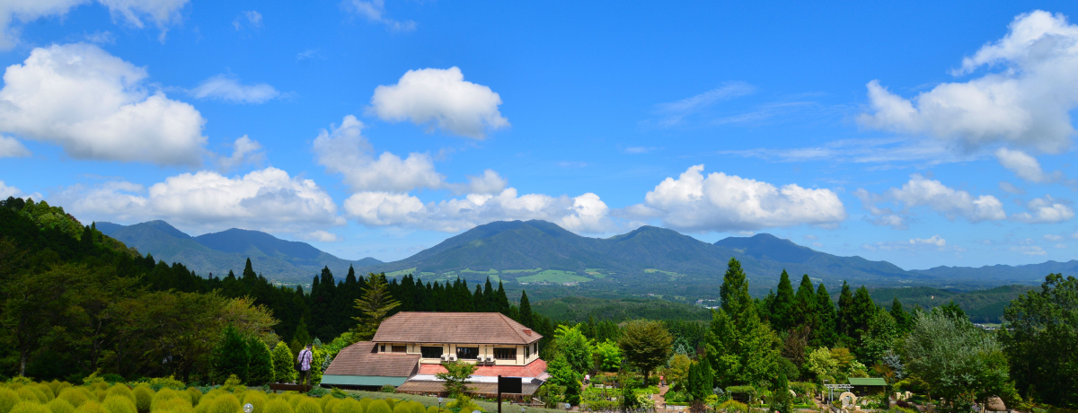 �v�킸�[�ċz�I�f�R�n�[�u�K�[�f�� �n�[�r���őu�₩�ȍ����𖞋i