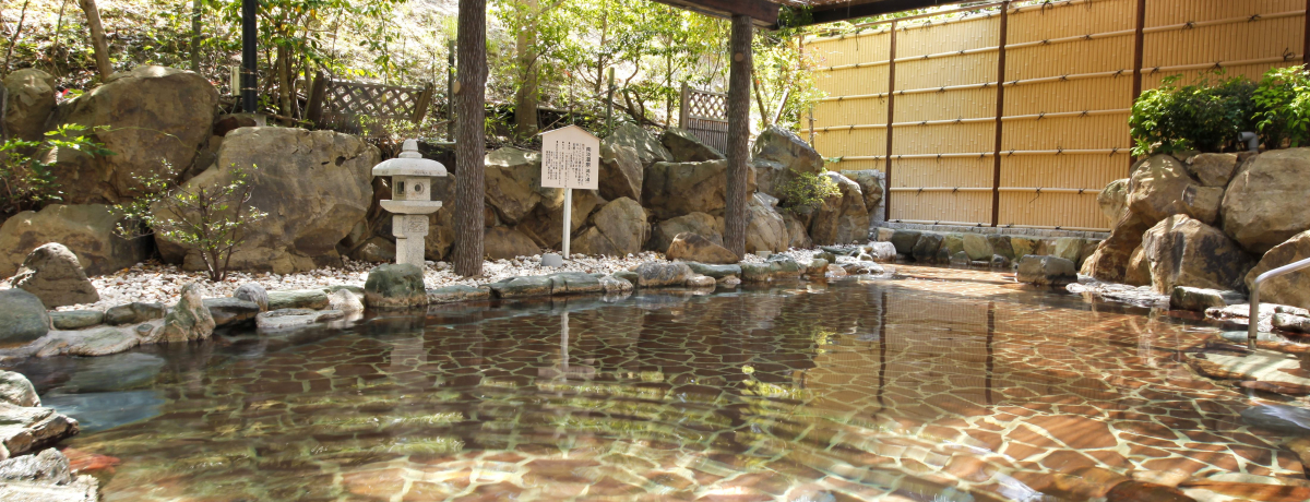 �u�O�����h�����L���[���W�H�����]�[�g���X�p�v�ł��Ȃ���~���藷�I