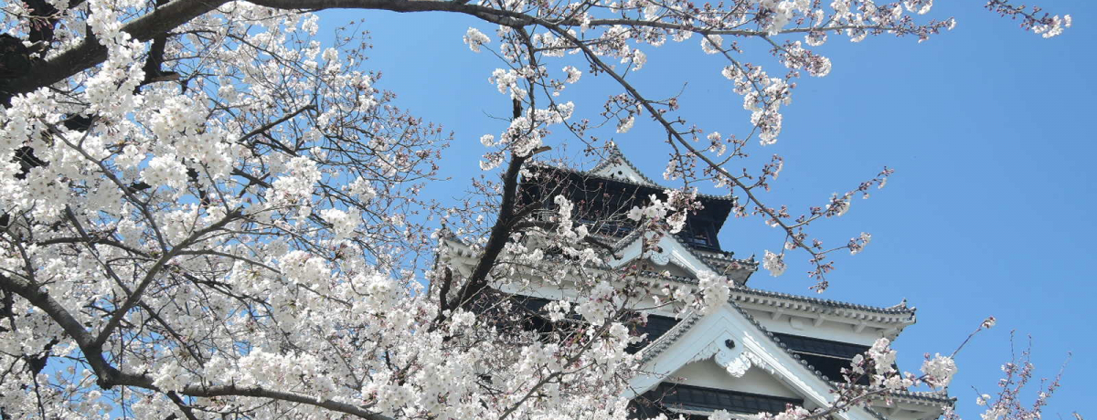 �F�{��I�����łȂ��Ă��y���߂�A���E�߃|�C���g