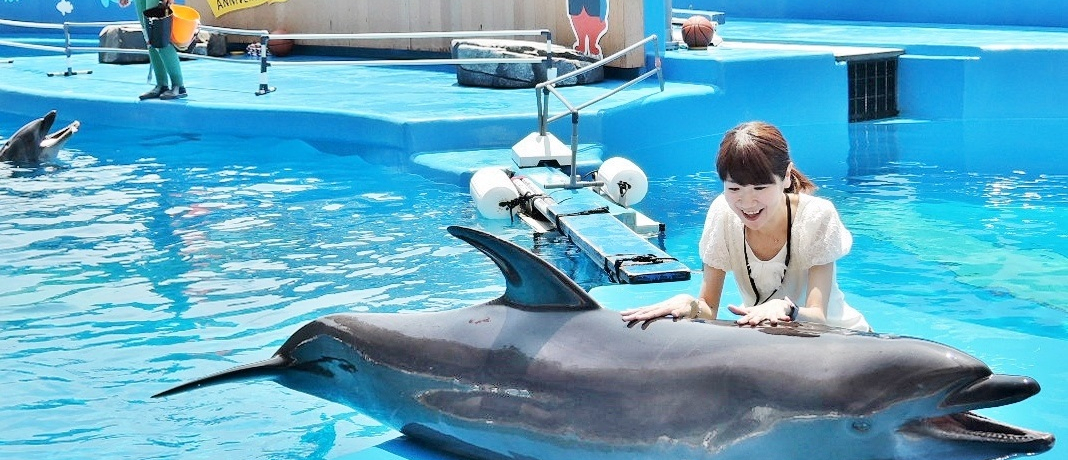 ��䂤�݂̓m�����ق��y�����I�C���J�ɂ�����Ďʐ^���Ƃ낤�I