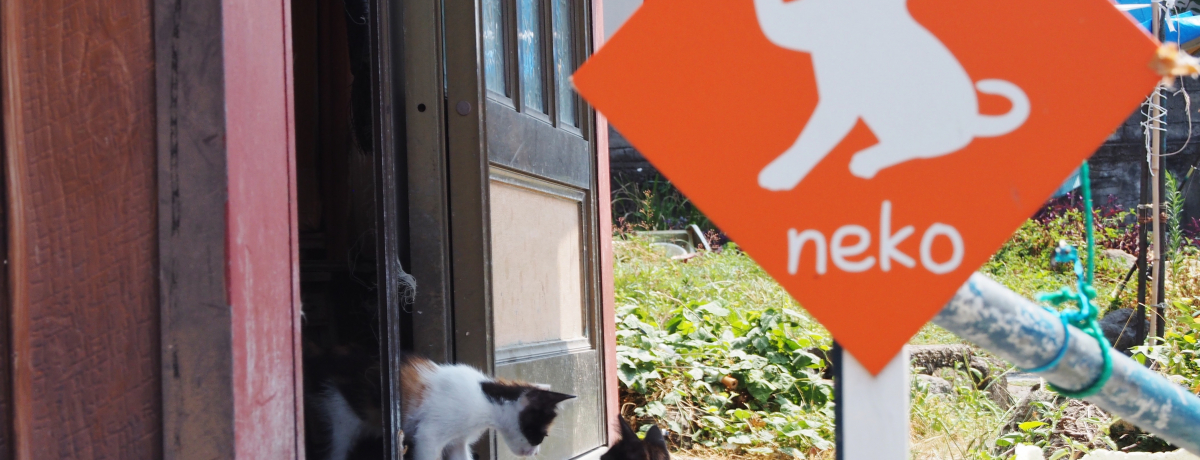 �L�����F�{�ɂ��I�L�D���K���A�V���u�����v�̖���