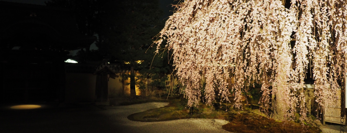 su䎛vԔqς̃CgAbvI˂˂̎}