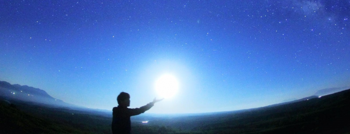 I[xWuX̃AgGvYȈhŐUI