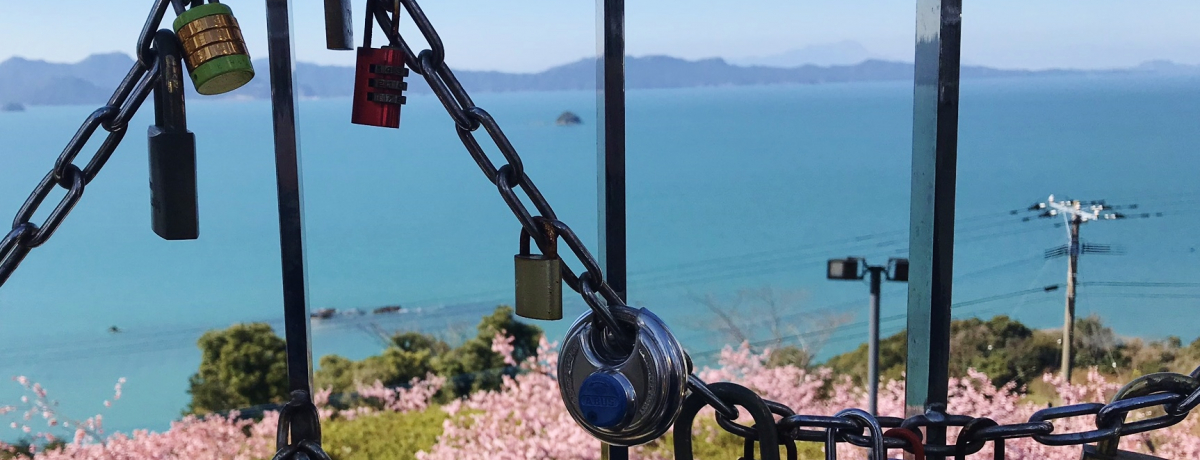 ̖ɈHu䗧v͌F{f[gX|bg