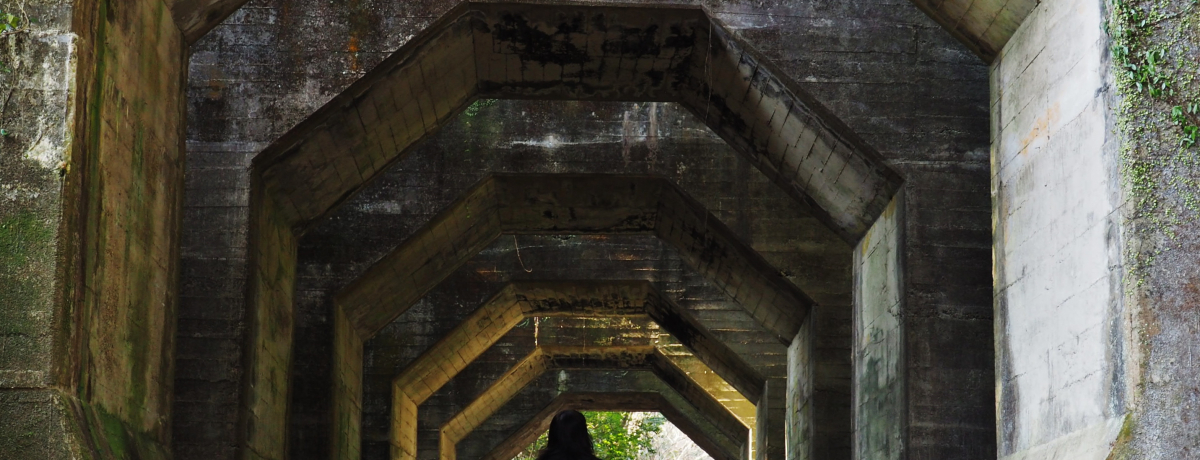 pՁEpЍDɁIF{upglv͗l̐nE񖓋