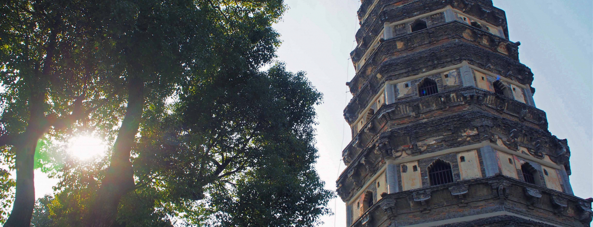 hBuՋuvւ͑Dy`IRXsm̃sT̎Γ