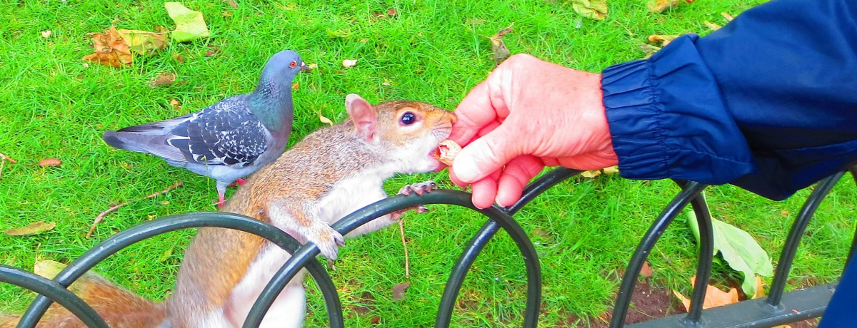 hό̐ÂȂ錊IhSn̉SI