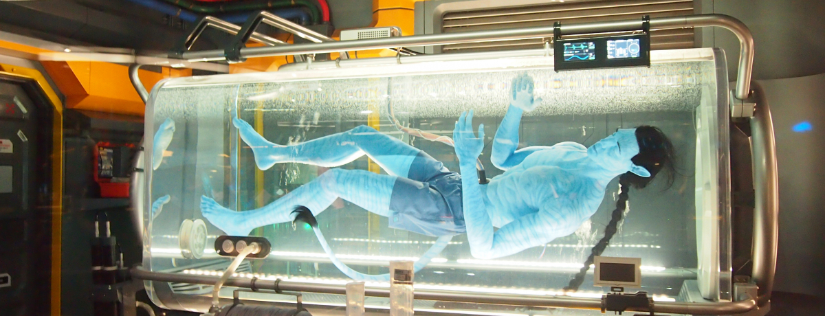 fwAo^[x̐EŊ܎ґoIt_̃fBYj[ŐVAgNVI