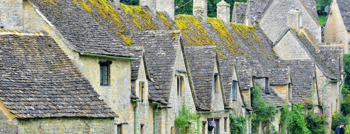 �����̓c�ɔ��I�����h�����R�b�c�E�H���Y���A��o�X�c�A�[