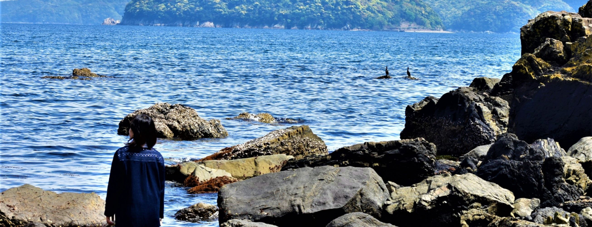 �啪�E�P�n�̊C���ۂ��Ƒ̊��I���B���فu�v�y�v�ŊC�N�O������