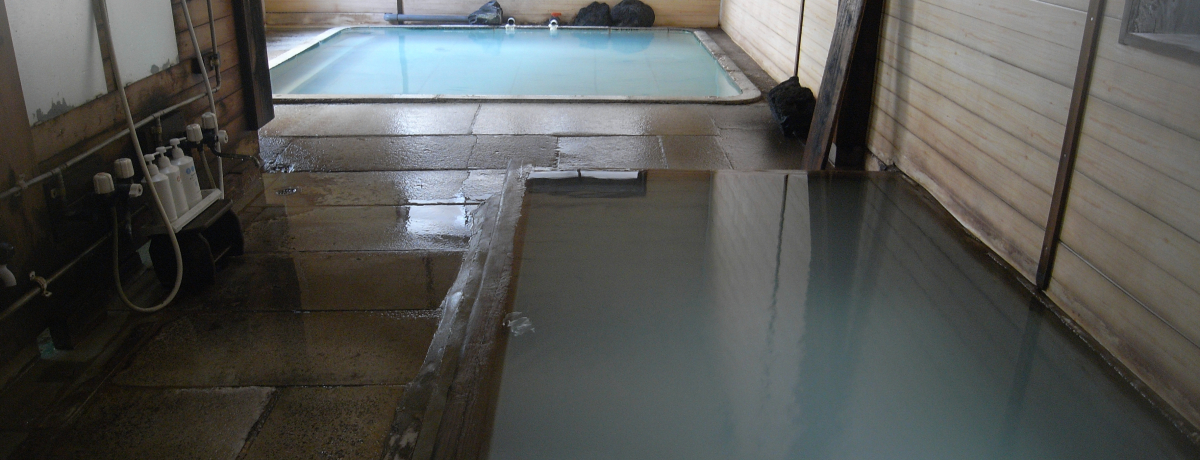 킸VIÉ̒ł󏭂ȓƎ߂낤