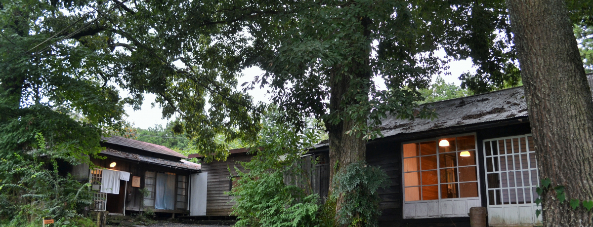 |̗Evq̃IAVXIčؐHƎG݂̓XuÂvSn悷