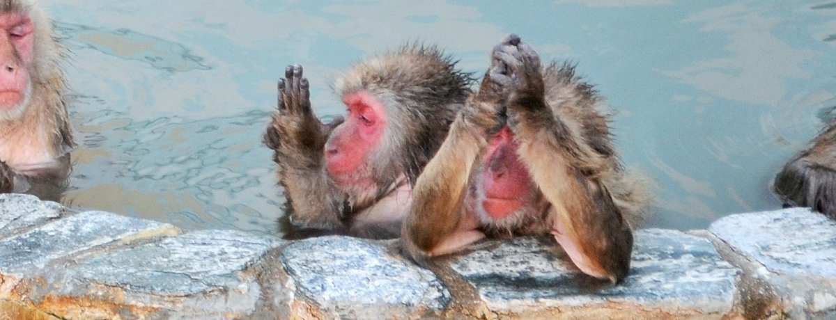 ܘYۃ|[YHkCuَsMѐAv̉ɓT킢