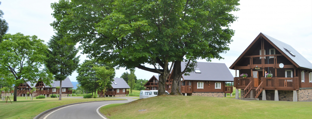 RƈꏏIVEĂ܍uxieBIṽRe[WŎRƗVڂ