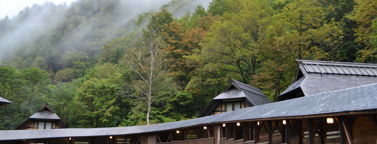 �P���~��ŘI�V�t������ɔ��܂�I���Áu�Ԗ؂̏h�v�ő�l�̋x����