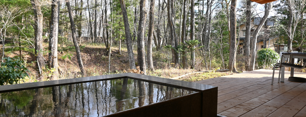 ���̐���̃z�e���ɐV�q�����u�A�[�g�r�I�g�[�v�ߐ{�v���B���̖���