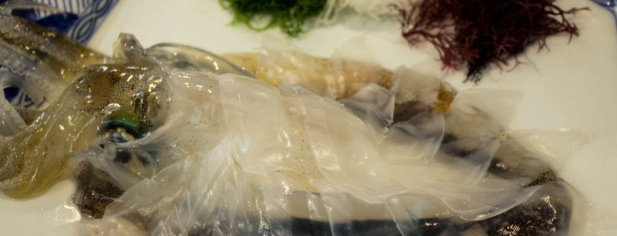 uCJ̊viIEĎqό߃X|bg