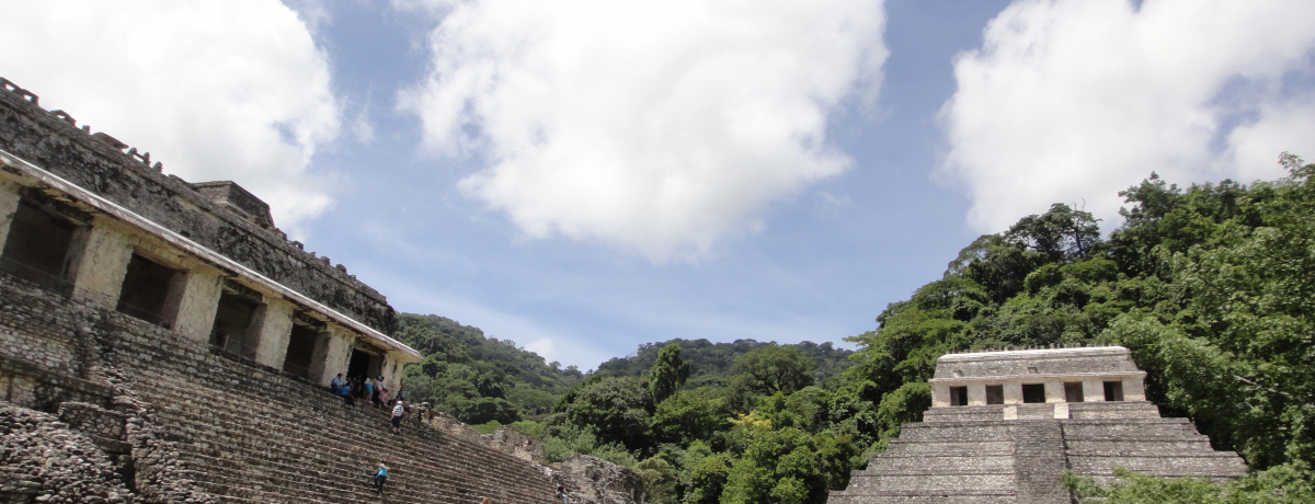 �����̃��L�V�R�E�}����ՁI�M�щJ�тɘȂށu�p�����P��Ձv��T�����悤�I