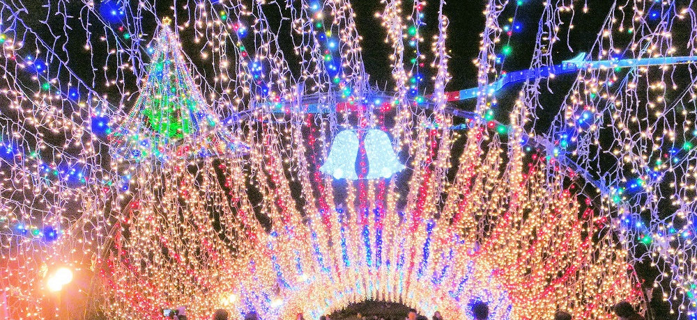 ӊOɌH_ސu{̃wv߂񂱊y