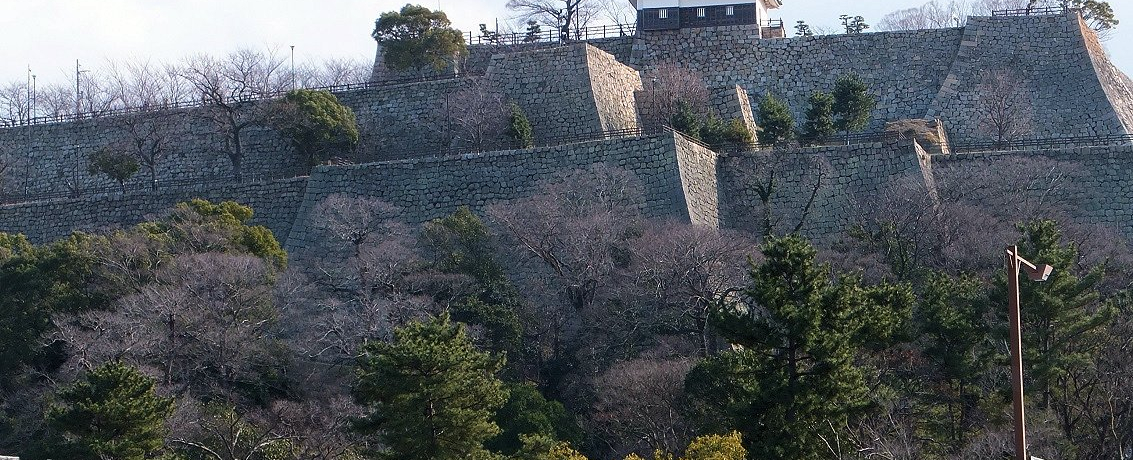 �g3�̓��{��h��������I����̌����V��u�ۋT��v