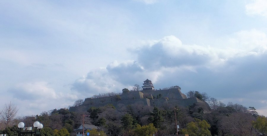 �Ί_�̏�ǁI���쌧�̌����V��E�ۋT��̔������Ɋ��ڂ���