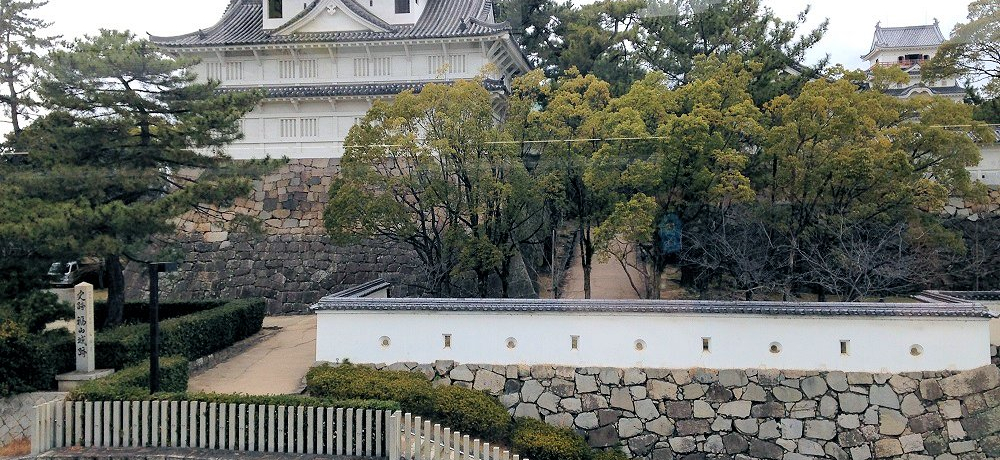 璭߂ĔILuRv̒mꂴ閣