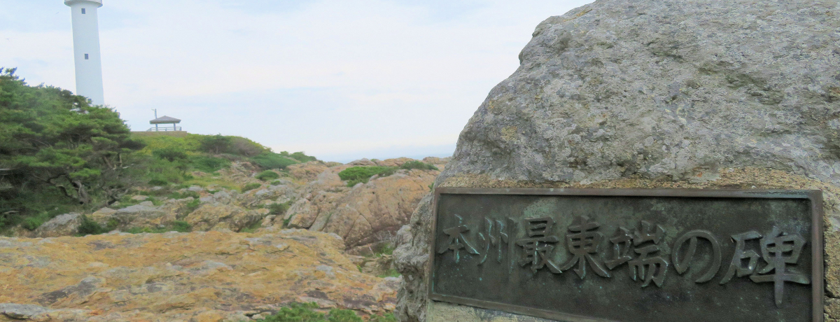 œւ̖͋{ÎsɁIڎw{Bœ[Egh