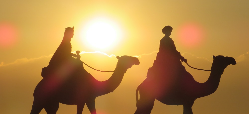 ���̍����ɓ�������!?��t��h�C�݂͒�����ȓ��̏o�X�|�b�g