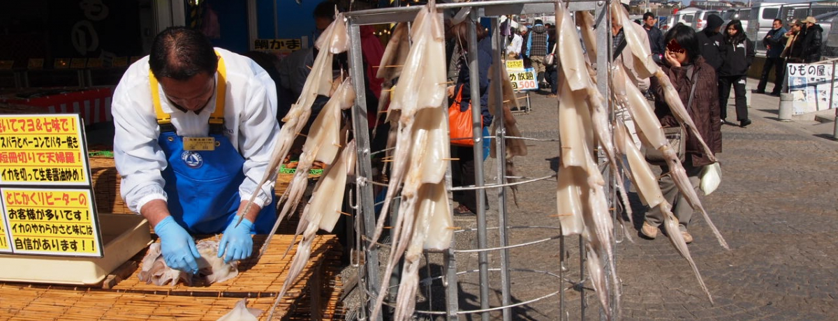 VNIIu߉ϖiȂ݂ȂƁjȎsv