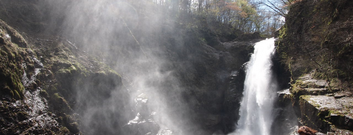 w{̑SIx唗͂̏HۑƁwVE̍דx`{錧s`