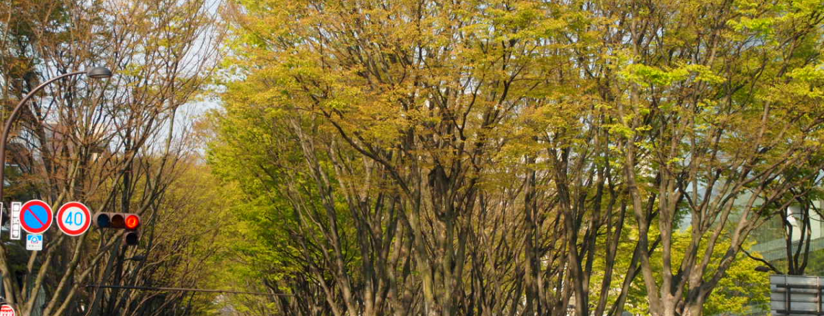 um̓sEv`ɒB@̗jcƐi̐XC[cII