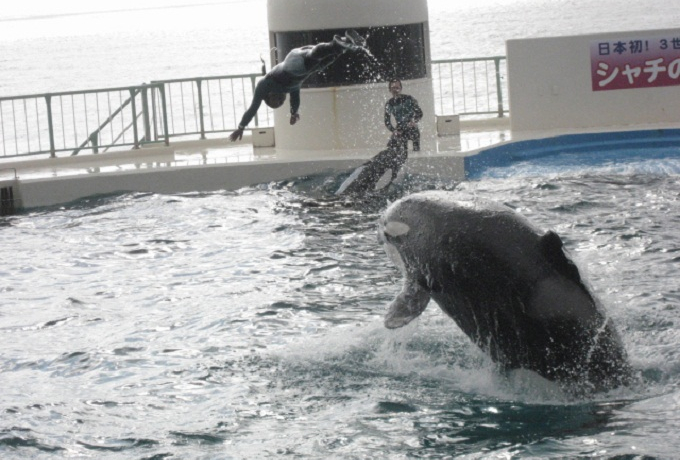 �����I�I�V���`�̃V���[�I�΂��A�V�J�ɂ�����t���ő�̊C�̃e�[�}�p�[�N�u����V�[���[���h�v