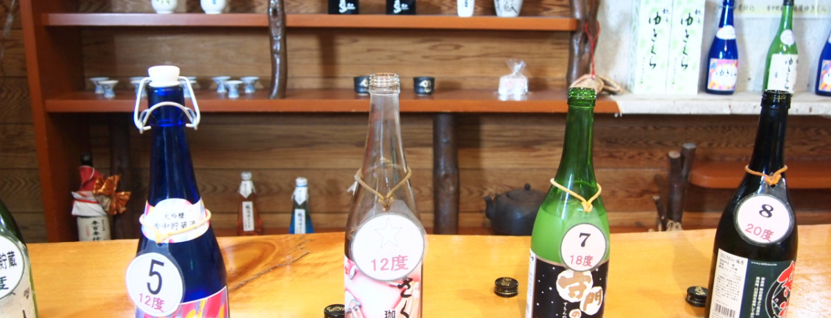 IwIIx{̓{ʐ𑢂̎𑠌w`Vs