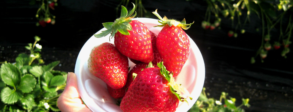 傢Ɋ!!k֓őuvqόcnvłI