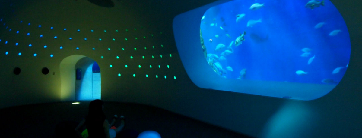 ���o���鉿�l����!!�������ӂꂠ���^�����فu���݂��܂��v�͖��f�̕�Ɂ`�I