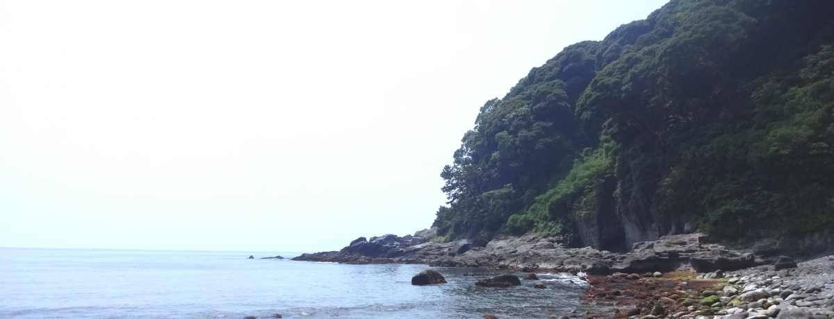 YT-0103 決定版 山陰の海釣り 隠岐 島根半島 石見海岸 弓浜半島