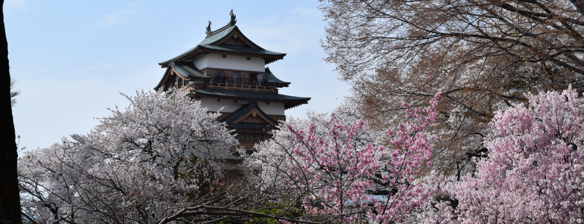 zK ȂI쌧zK𖞋iT̃qgI