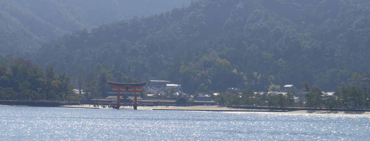 �_�l�����铇! �����_�Ђ̂ق��ɂ����ǂ��떞�ڂ̍L�����E�{����