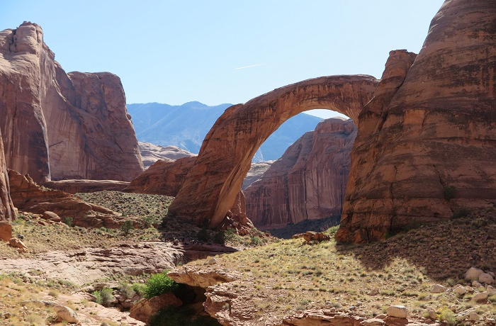 āEEő勉̎R̋uC{[ubWvցIuCNpEGv{[gcA[