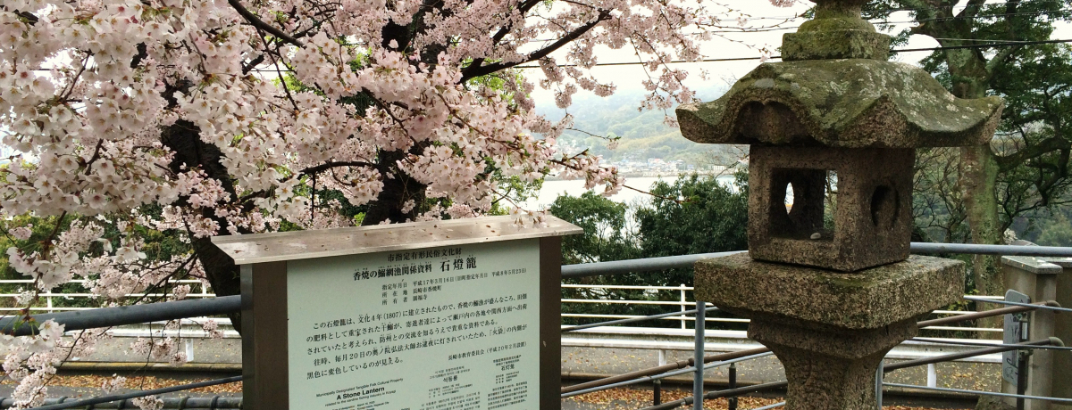 ����s���Ē��u�~�����v�͍O�@��t�E��C�䂩��̒n���Ǝ��@