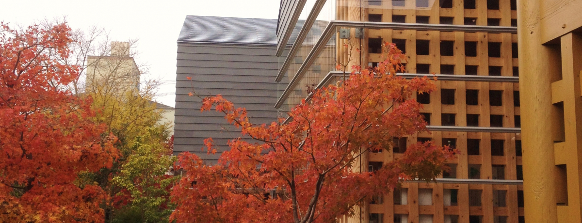 a̎RcӎsuF팰فvm̋EFm